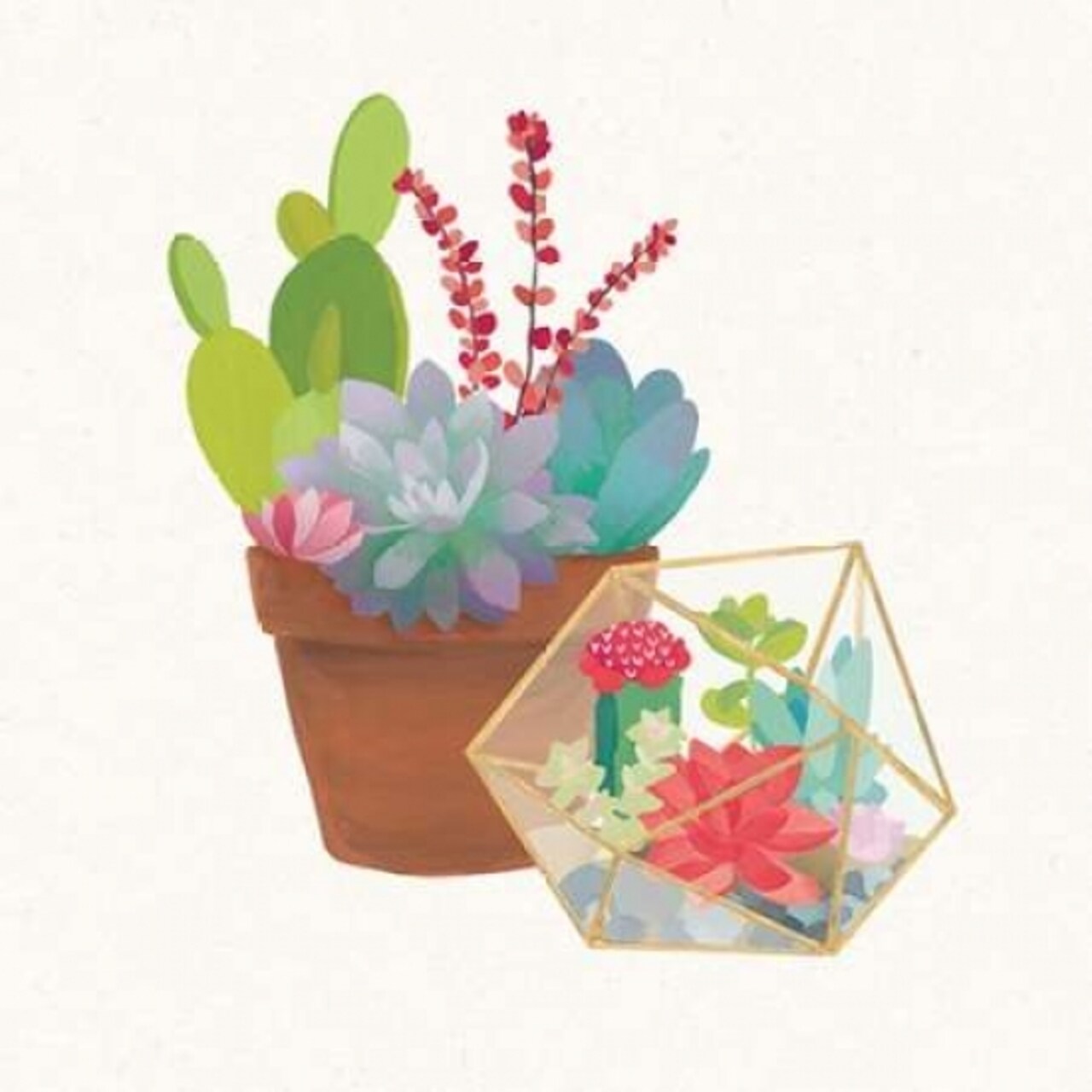 Succulent Garden II Poster Print by Wild Apple Portfolio - Item # VARPDX21556
